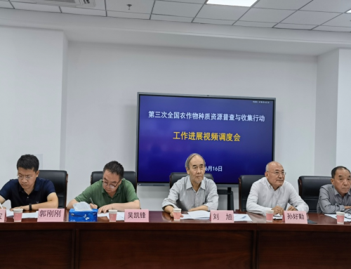六省区农作物种质资源普查收集工作进展视频调度会在京召开