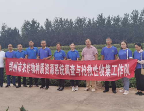 郑州市第三次农作物种质资源普查与征集工作 提前超额完成目标任务